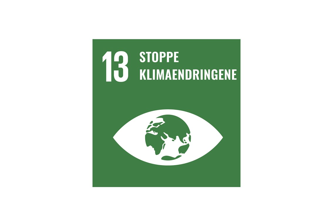 FN 13 Stoppe klimaendringene